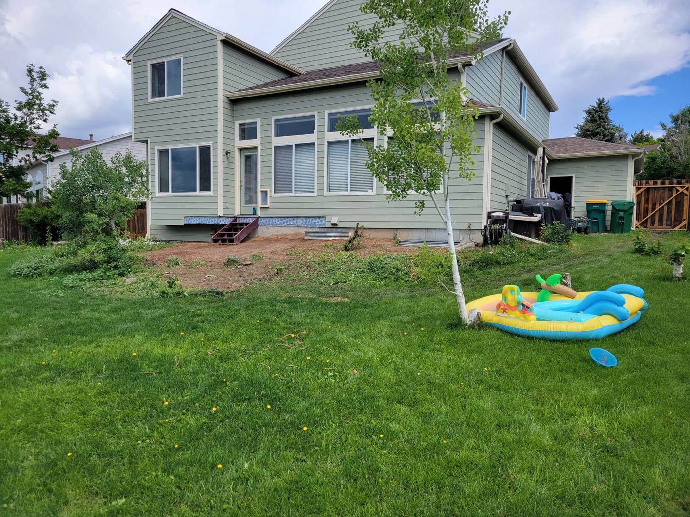 Before: the back yard