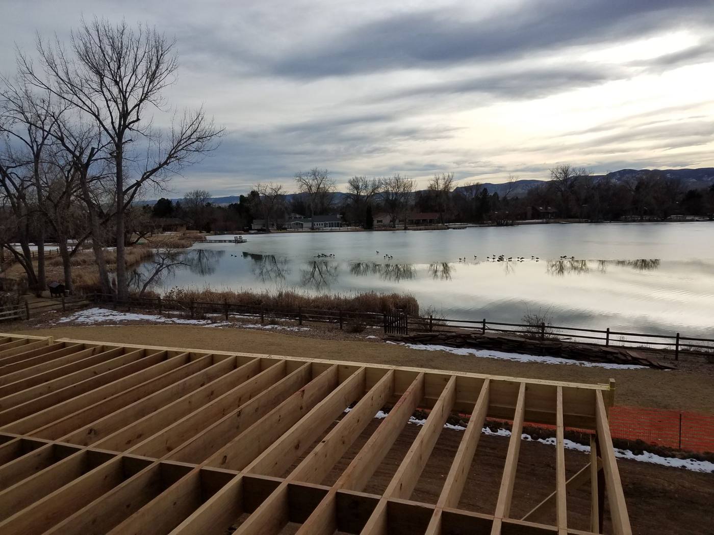 Floor joists
