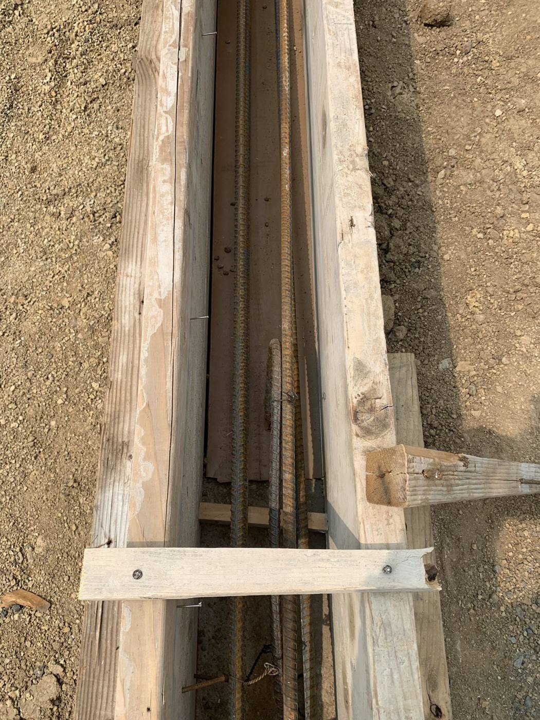 Grade beam forms and reinforcing