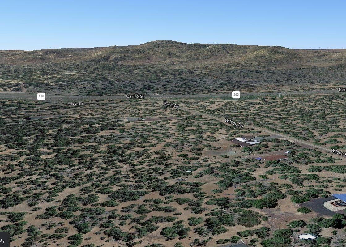 The site