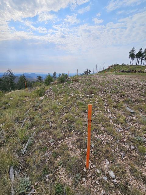 Staking the house on the ridge