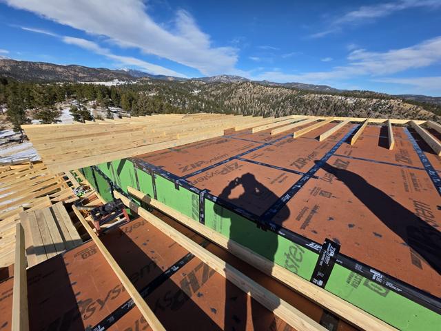 Roof framing and sheathing